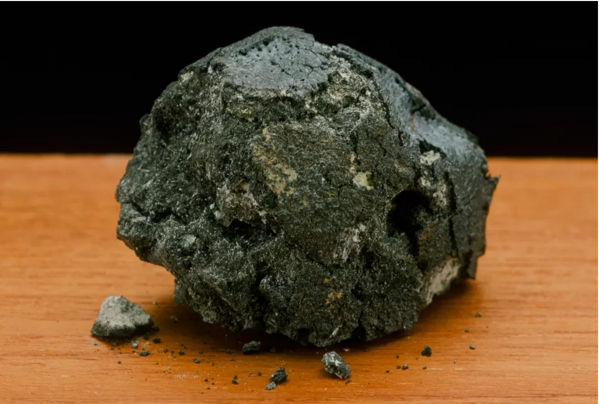 Orgueil Meteorite Smithsonian Collection